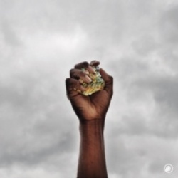 Prophecy (ep)