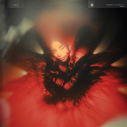 Portrait Of My Heart (LP)