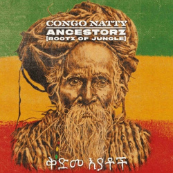 Ancestorz (rootz Of Jungle) (2LP)