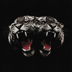 Dead company (cd)