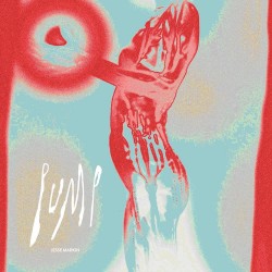 Pump (lp)
