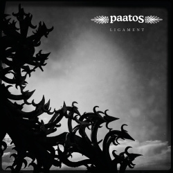 Ligament (CD)