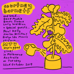 MTV Unplugged In Melbourne (lp)
