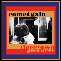 Tigertown Pictures (LP)