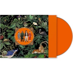 Amazing Things (cd)