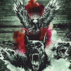 Beware Of The Underdogs (LP)