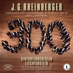 Sinfonisches Tongemälde in d-moll, op.10 (cd) : 