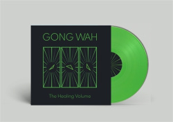 The Healing Volume (LP)