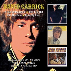 A Boy Called David / Don't Go Out Into The Rain / Blow-Up Live! (2CD)