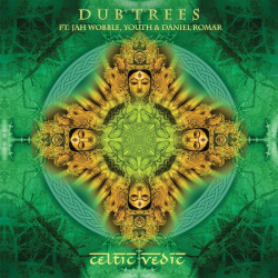 Celtic Vedic (2LP)