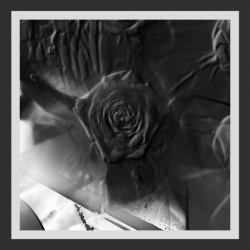 Mind Abandon (LP)