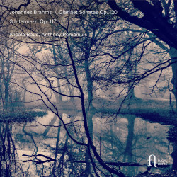Clarinet Sonatas, Op. 120 & 3 Intermezzi, Op. 117 (cd)