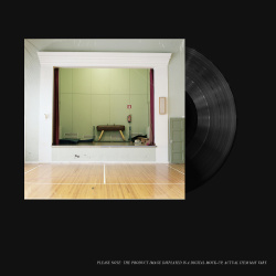 Random avenger (lp)