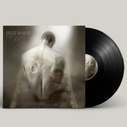 Steal the light (lp)