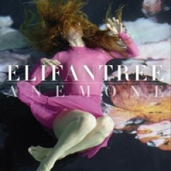 Anemone (cd)