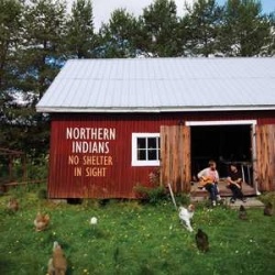 No shelter in sight (cd)