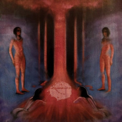 The Chaos In Veins (2CD)