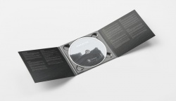 Last Of Us (CD)