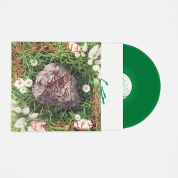 The Fool (LP)