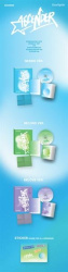 Ascend Together (CD)