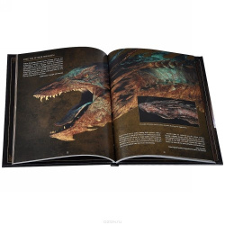 The Hobbit: The Desolation of Smaug - Chronicles