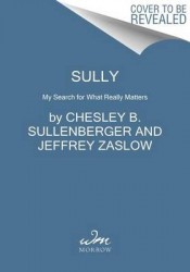 Sully MTI