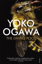 The Diving Pool
