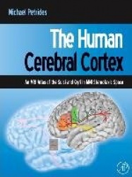 The Human Cerebral Cortex - An MRI Atlas of the Sulci and Gyri in MNI Stereotaxic Space