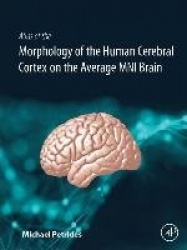 Atlas of the Morphology of the Human Cerebral Cortex on the Average MNI Brain