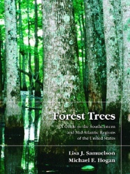 Forest Trees