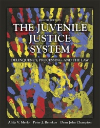 Juvenile Justice System