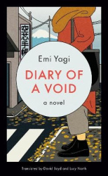 Diary of a Void - A Novel