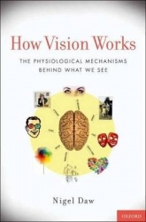 How Vision Works - The Physiological Mechanisms Behind What We See