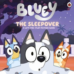 Sleepover