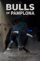 The Bulls Of Pamplona