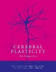 Cerebral Plasticity - New Perspectives