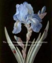 The Art of Natural History - Illustrated Treatises and Botanical Paintings, 1400 - 1850