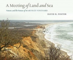 A Meeting of Land and Sea - Nature and the Future of Martha’s Vineyard