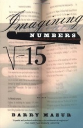 Imagining Numbers
