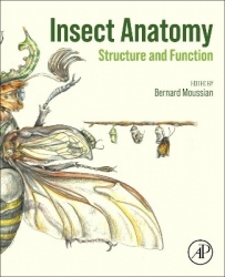 Insect Anatomy - Structure and Function