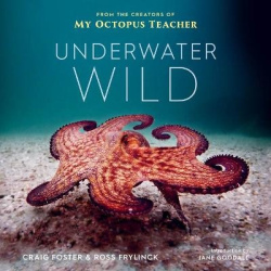 Underwater Wild - My Octopus Teacher's