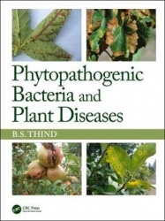 Phytopathogenic Bacteria and Plant Diseases