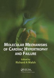 Molecular Mechanisms of Cardiac Hypertrophy and Failure