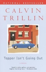 Tepper Isn't Going Out - A Novel