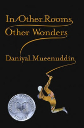 In Other Rooms, Other Wonders - Connected Stories