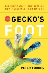 The Gecko`s Foot - Bio-inspiration: Engineering New Materials from Nature