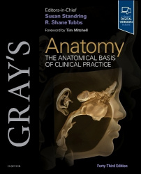 Gray's Anatomy : The Anatomical Basis of Clinical Practice