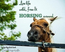 Live life wild, free&horsing around