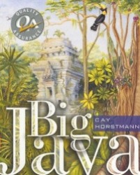 Big Java AP Version for Texas High School