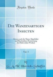 Die Wanzenartigen Insecten, Vol. 5 - Getreu Nach Der Natur Abgebildet Und Beschrieben (Fortsetzung Des Hahn'schen Werkes) (Class